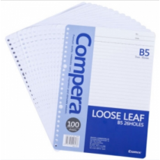 齐心（COMIX） CLB51007 B5 26孔活页替芯 100页/本