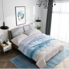 炫彩亲肤天丝被（夏被）