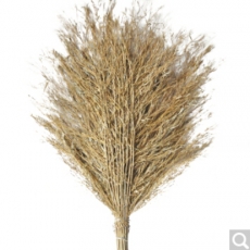 益美得 竹柄大扫把院子户外环卫大号笤帚街道马路公园清扫落叶除雪 竹枝连体4斤