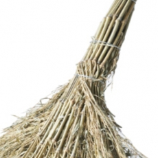 高粱扫把
