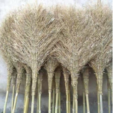 竹扫帚大扫把扫马路家用户外竹苗竹丝天然植物