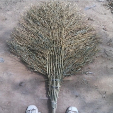 企普 1.5m 清洁竹扫把 计价单位:把