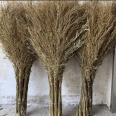 庄太太竹扫把高170CM