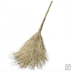 大扫把