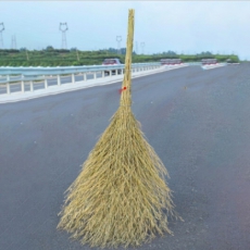 大扫把