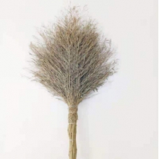 户外室院专用竹叶大扫把