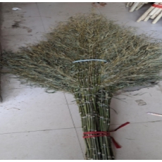 大扫把竹马路扫竹子户外加大加宽竹扫把