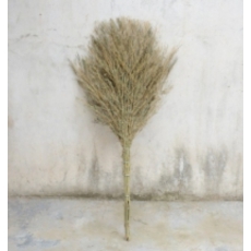 一体式竹扫把2.5斤